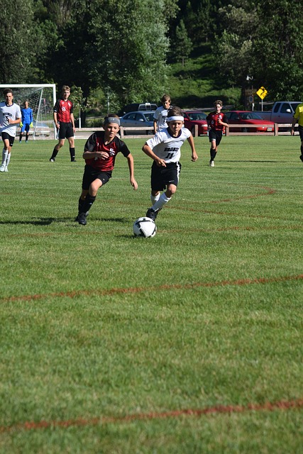 阿尔瓦雷斯 阿尔瓦雷斯