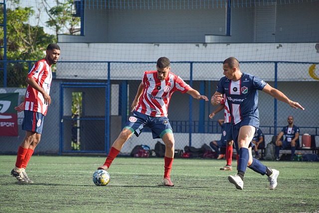 他们的表现 他们的表现