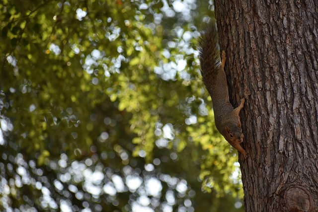 容的丰富性 容的丰富性