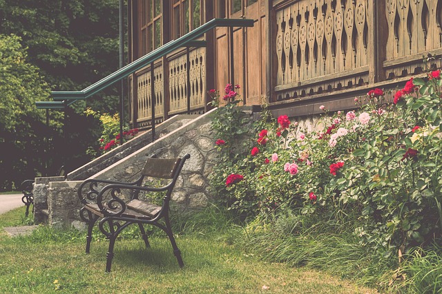 当旺达携带 当旺达携带