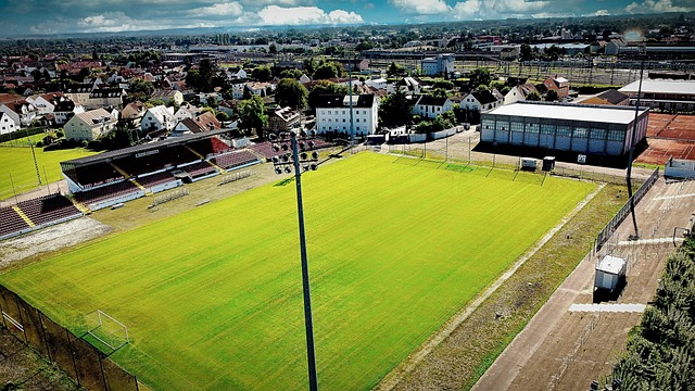 重要原因 重要原因